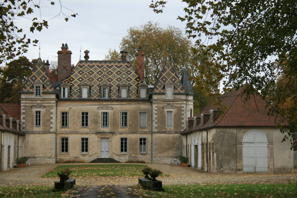 chateau de Belleneuve, belle toiture vernissée