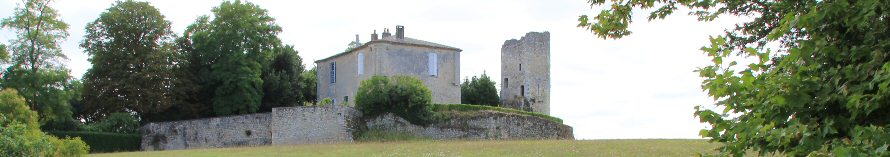 chteau de Vertheuil