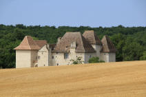 chteau de l'Aubespin  Monsaguel