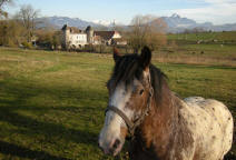 chateau de Villy  Reignier