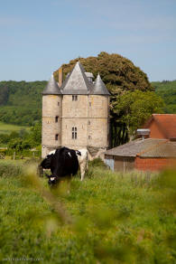 donjon de Bours